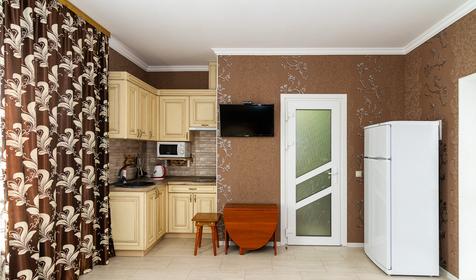 Однокомнатный люкс с кухней. Частный отель Вероника, г. Геленджик, с. Кабардинка