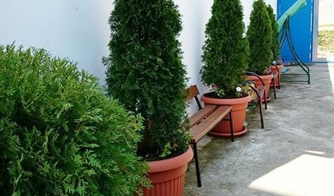 Гостевой дом Рузана, Сочи, Лазаревское, Вардане