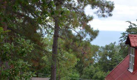 База отдыха Горизонт, г. Сочи, Лазаревский район, п. Уч-Дере