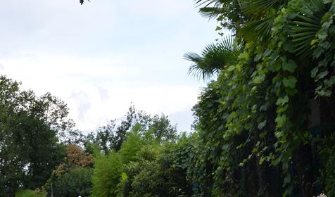 База отдыха Горизонт, г. Сочи, Лазаревский район, п. Уч-Дере