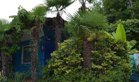 База отдыха Горизонт, г. Сочи, Лазаревский район, п. Уч-Дере