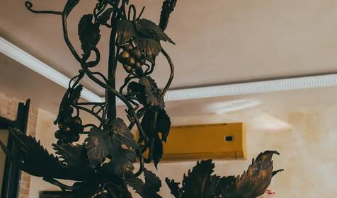 Медвежий угол, Северский район, Хамышки