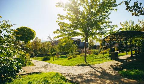 Медвежий угол, Северский район, Хамышки