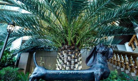 Отель Жемчуг, Сочи