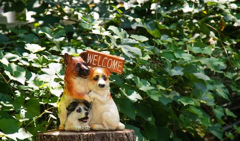 SPA-отель Ателика Сокол и Вилла Дивный мир Сокол, Сочи, Нижняя Хобза