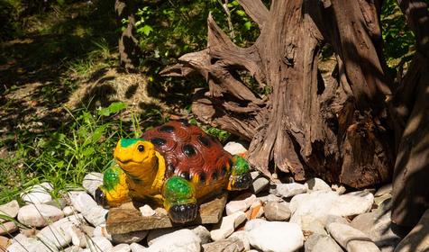 SPA-отель Ателика Сокол и Вилла Дивный мир Сокол, Сочи, Нижняя Хобза