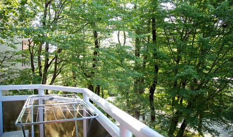 SPA-отель Ателика Сокол и Вилла Дивный мир Сокол, Сочи, Нижняя Хобза