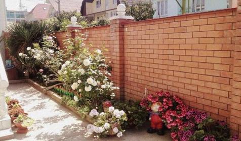 Отель Арарат, Сочи, Адлер