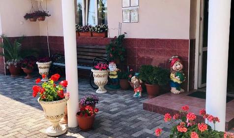 Отель Арарат, Сочи, Адлер