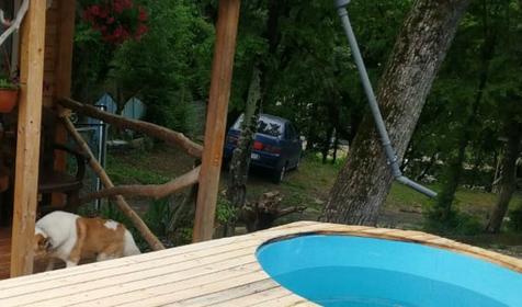 Русская баня. База отдыха Афалина, Туапсинский район, Бухта Инал, 1 участок