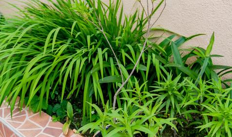 Частный гостевой дом Империя, Сочи, Лоо