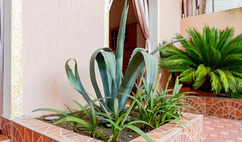 Частный гостевой дом Империя, Сочи, Лоо