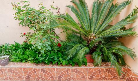 Частный гостевой дом Империя, Сочи, Лоо