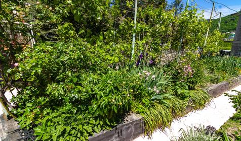 Гостевой дом Аморе, Туапсе, Небуг