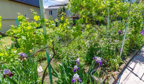 Гостевой дом Аморе, Туапсе, Небуг