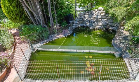 Гостевой дом Аморе, Туапсе, Небуг