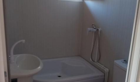 Золотая рыбка