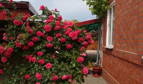 Люкс 80 кв.м.