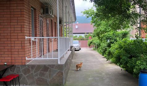 Гостевой дом Светлана, г. Новороссийск, п. Южная Озереевка