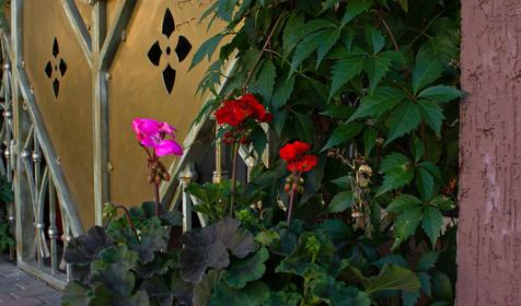 Отель Antonio Casa, Геленджик