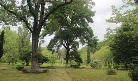 Пансионат Энергетик, Туапсе, Шепси