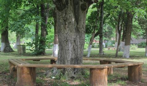 Пансионат Энергетик, Туапсе, Шепси