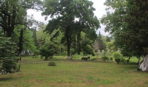 Пансионат Энергетик, Туапсе, Шепси