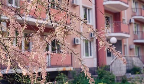 Пансионат Энергетик, Туапсе, Шепси