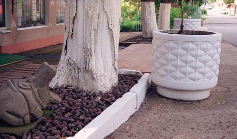 Пансионат Энергетик, Туапсе, Шепси