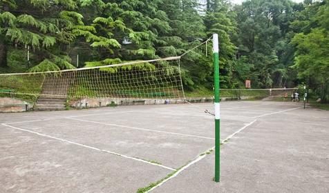 Пансионат Энергетик, Туапсе, Шепси