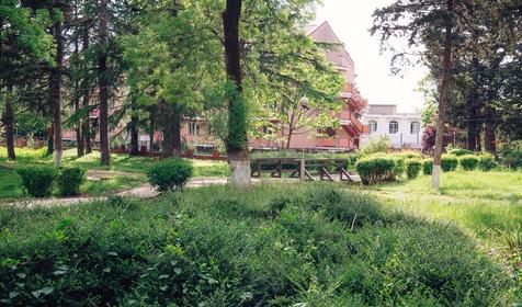 Пансионат Энергетик, Туапсе, Шепси