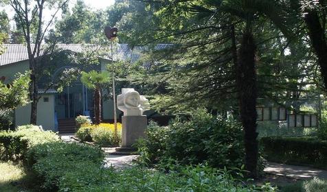 Пансионат Энергетик, Туапсе, Шепси