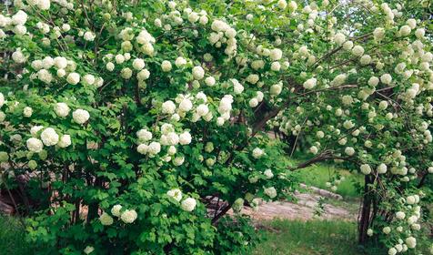Пансионат Энергетик, Туапсе, Шепси