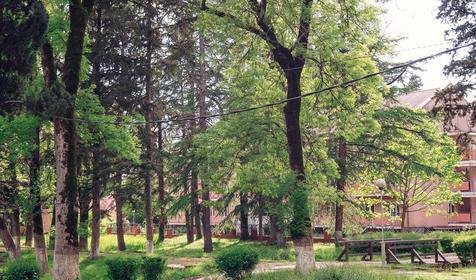 Пансионат Энергетик, Туапсе, Шепси