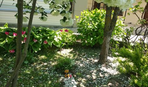 Ростовский дворик