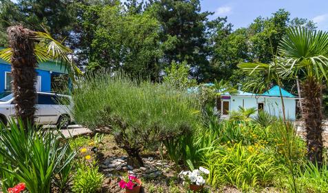 База отдыха "Горизонт", г. Сочи, Лазаревский район, п. Уч-Дере