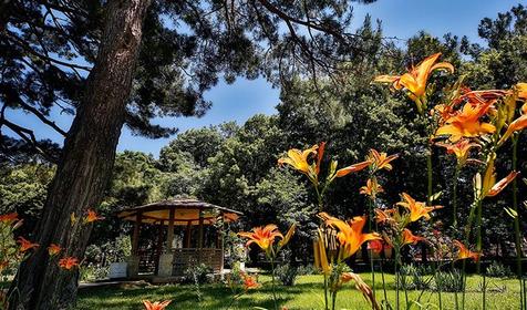 Санаторий Жемчужина моря, Кабардинка