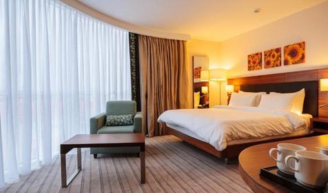 Комфорт Панорамик двухместный