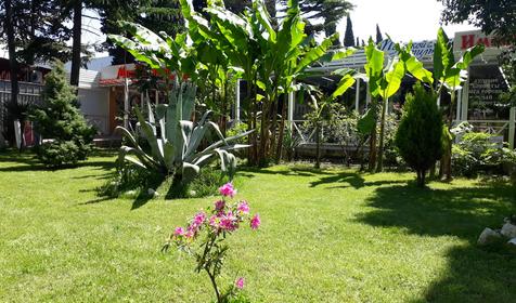 Гостиница Aurum (Aurum (Аурум)), Сириус