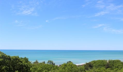 Чайка на первом