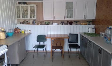 Чайка на первом