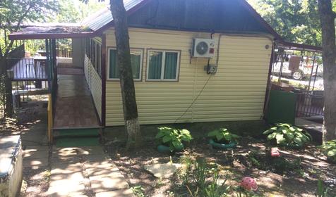 Чайка на первом