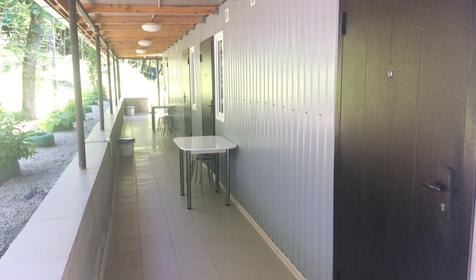 Чайка на первом