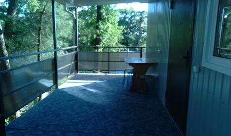 Чайка на первом