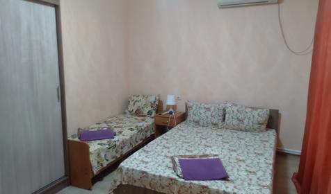 Чайка на первом