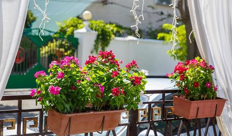  Отель Боспор, Анапа