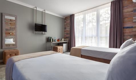 Стандарт двухместный TWIN