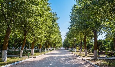 Отель AQUARIUS на ВОЛНЕ (Аквариус на волне), Анапа