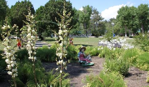 Отель AQUARIUS на ВОЛНЕ (Аквариус на волне), Анапа