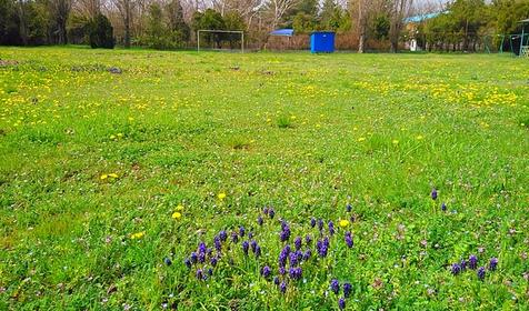Отель AQUARIUS на ВОЛНЕ (Аквариус на волне), Анапа